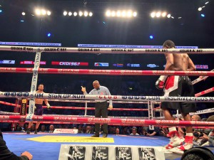 David Lemieux Wins IBF Middleweight Title In Thriller Against N’Dam