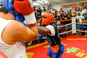 Floyd Mayweather Media Work Out Quotes & Photos